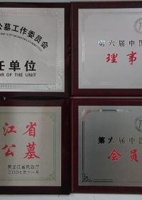 资质荣誉