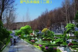 紫气东来二期