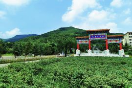 陵园实拍